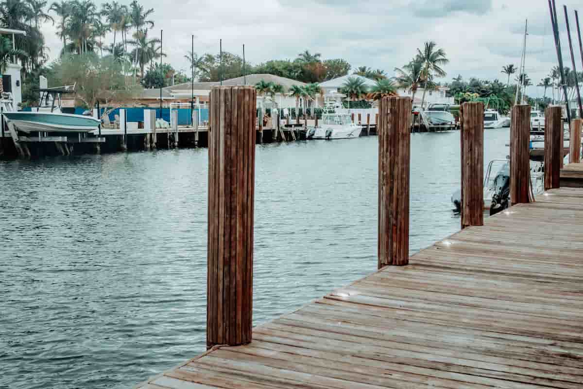 Dock pilings exposed at winter pool on Wheeler Lake Alabama